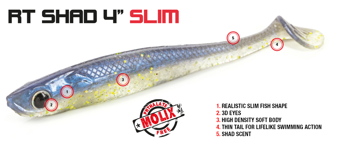 Molix RT Shad 4 inch Slim